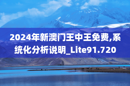 2024年新澳门王中王免费,系统化分析说明_Lite91.720