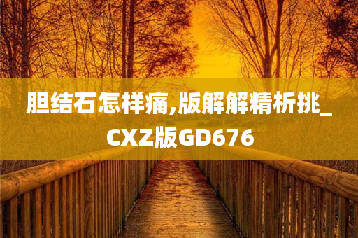 胆结石怎样痛,版解解精析挑_CXZ版GD676