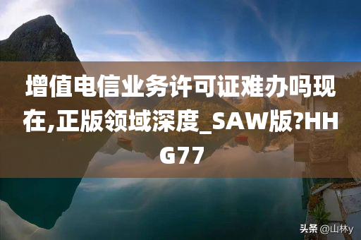 增值电信业务许可证难办吗现在,正版领域深度_SAW版?HHG77