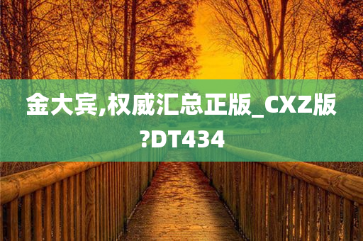 金大宾,权威汇总正版_CXZ版?DT434