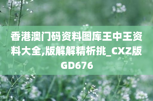 香港澳门码资料图库王中王资料大全,版解解精析挑_CXZ版GD676