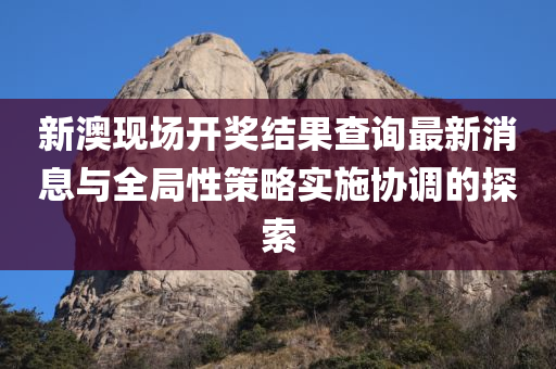 新澳现场开奖结果查询最新消息与全局性策略实施协调的探索