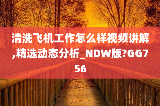 清洗飞机工作怎么样视频讲解,精选动态分析_NDW版?GG756