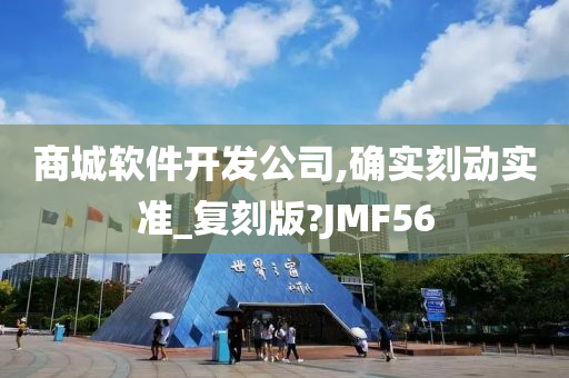 商城软件开发公司,确实刻动实准_复刻版?JMF56