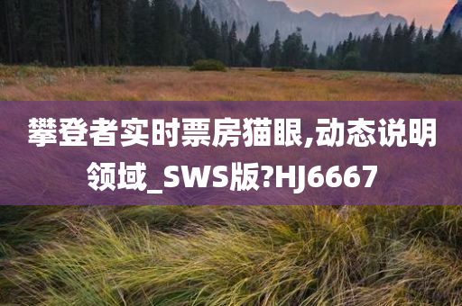 攀登者实时票房猫眼,动态说明领域_SWS版?HJ6667