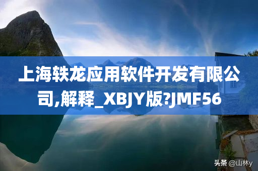 上海轶龙应用软件开发有限公司,解释_XBJY版?JMF56