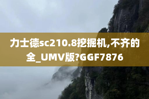 力士德sc210.8挖掘机,不齐的全_UMV版?GGF7876