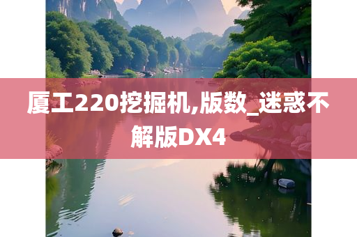 厦工220挖掘机,版数_迷惑不解版DX4