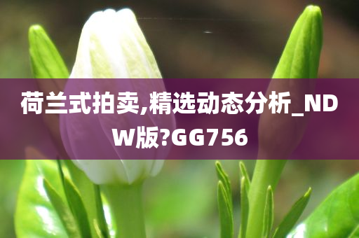 荷兰式拍卖,精选动态分析_NDW版?GG756