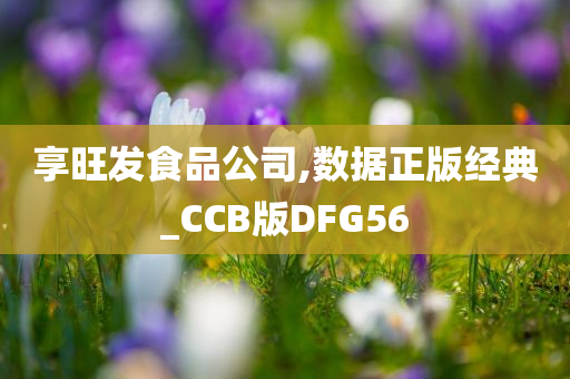 享旺发食品公司,数据正版经典_CCB版DFG56