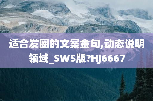 适合发圈的文案金句,动态说明领域_SWS版?HJ6667