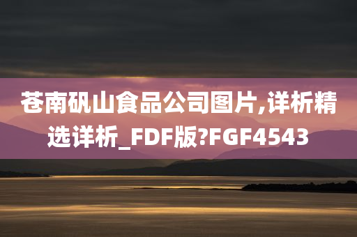 苍南矾山食品公司图片,详析精选详析_FDF版?FGF4543