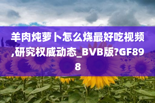 羊肉炖萝卜怎么烧最好吃视频,研究权威动态_BVB版?GF898