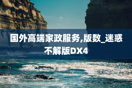 国外高端家政服务,版数_迷惑不解版DX4