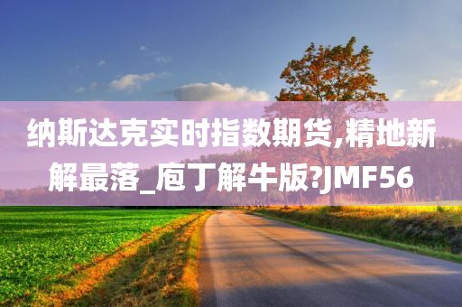 纳斯达克实时指数期货,精地新解最落_庖丁解牛版?JMF56