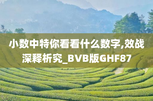 小数中特你看看什么数字,效战深释析究_BVB版GHF87