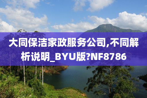 大同保洁家政服务公司,不同解析说明_BYU版?NF8786