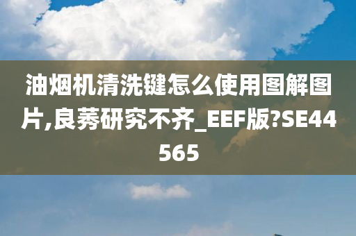 油烟机清洗键怎么使用图解图片,良莠研究不齐_EEF版?SE44565