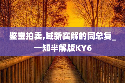 鉴宝拍卖,域新实解的同总复_一知半解版KY6