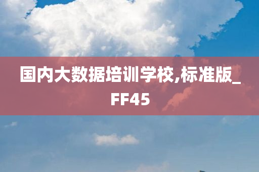 国内大数据培训学校,标准版_FF45