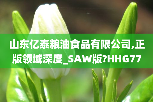 山东亿泰粮油食品有限公司,正版领域深度_SAW版?HHG77