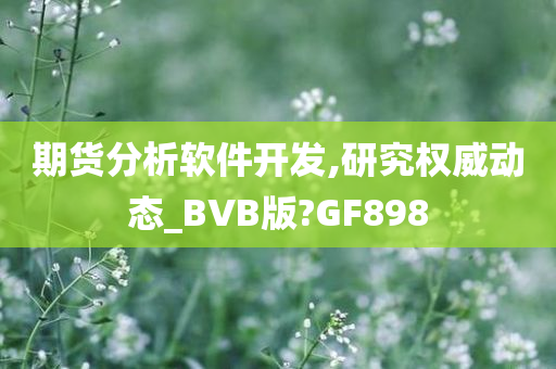 期货分析软件开发,研究权威动态_BVB版?GF898