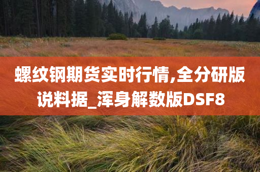 螺纹钢期货实时行情,全分研版说料据_浑身解数版DSF8