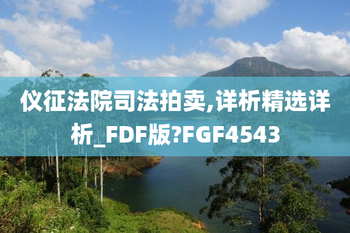 仪征法院司法拍卖,详析精选详析_FDF版?FGF4543