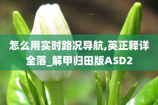 怎么用实时路况导航,英正释详全落_解甲归田版ASD2