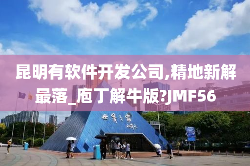 昆明有软件开发公司,精地新解最落_庖丁解牛版?JMF56