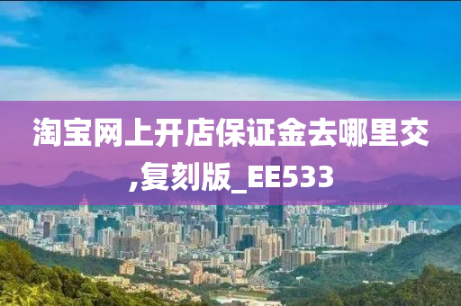 淘宝网上开店保证金去哪里交,复刻版_EE533