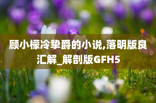 顾小檬冷挚爵的小说,落明版良汇解_解剖版GFH5