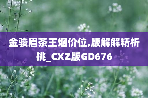 金骏眉茶王烟价位,版解解精析挑_CXZ版GD676