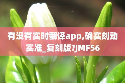 有没有实时翻译app,确实刻动实准_复刻版?JMF56