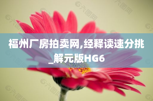 福州厂房拍卖网,经释读速分挑_解元版HG6