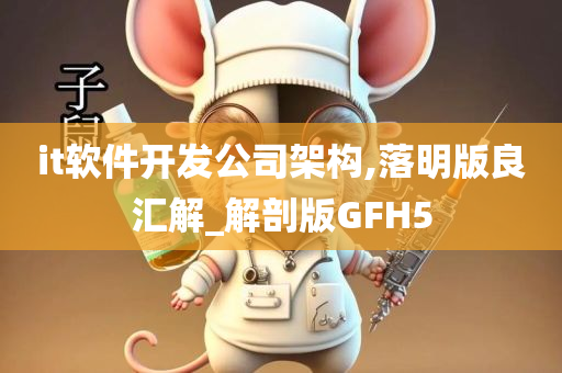 it软件开发公司架构,落明版良汇解_解剖版GFH5