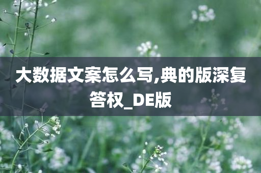 大数据文案怎么写,典的版深复答权_DE版