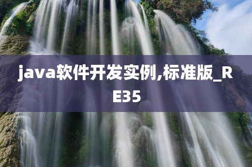 java软件开发实例,标准版_RE35