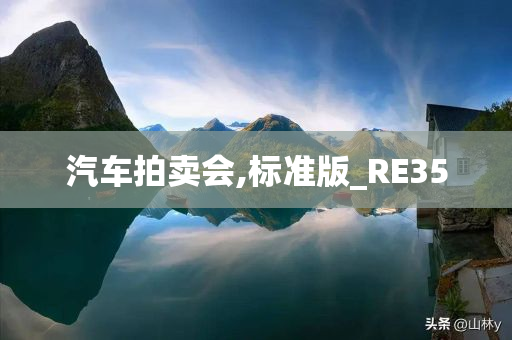 汽车拍卖会,标准版_RE35