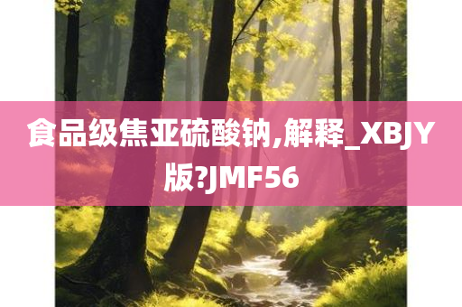 食品级焦亚硫酸钠,解释_XBJY版?JMF56