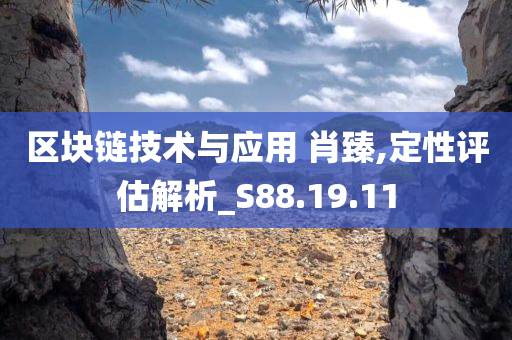 区块链技术与应用 肖臻,定性评估解析_S88.19.11