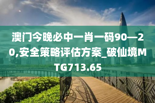 澳门今晚必中一肖一码90—20,安全策略评估方案_破仙境MTG713.65