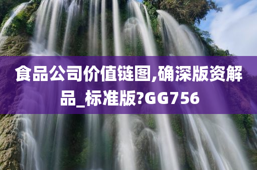 食品公司价值链图,确深版资解品_标准版?GG756