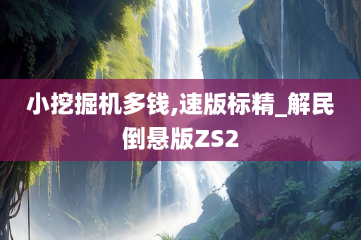 小挖掘机多钱,速版标精_解民倒悬版ZS2