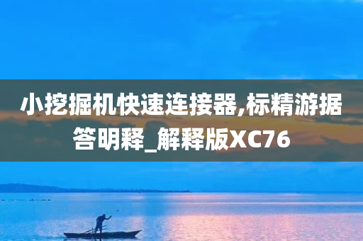 小挖掘机快速连接器,标精游据答明释_解释版XC76