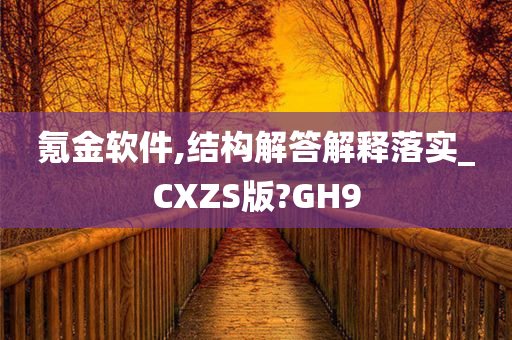 氪金软件,结构解答解释落实_CXZS版?GH9