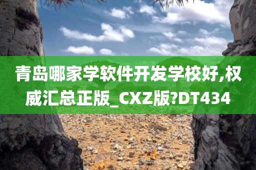 青岛哪家学软件开发学校好,权威汇总正版_CXZ版?DT434