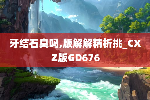 牙结石臭吗,版解解精析挑_CXZ版GD676