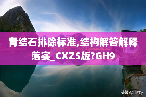 肾结石排除标准,结构解答解释落实_CXZS版?GH9