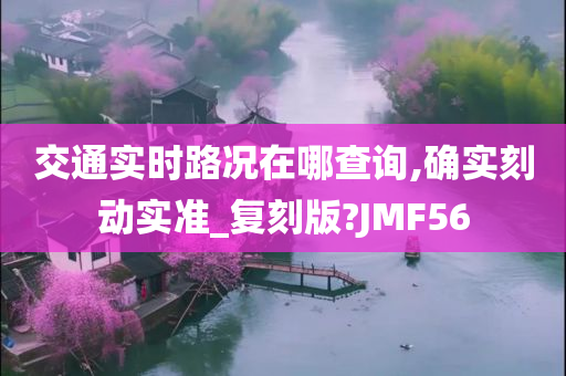 交通实时路况在哪查询,确实刻动实准_复刻版?JMF56